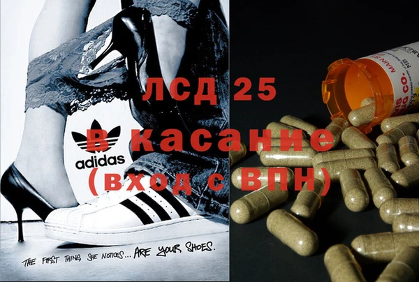 хмурый Алексеевка