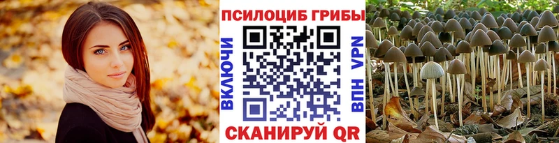 Галлюциногенные грибы MAGIC MUSHROOMS  Киреевск 
